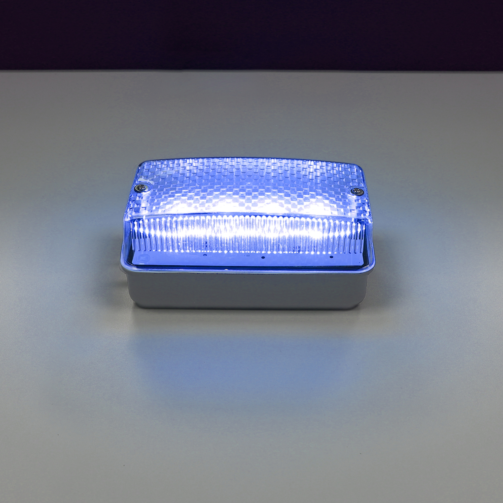 Blue LED Bulkhead Light IP65 Outdoor Emergency Bulkhead Gemma Lighting